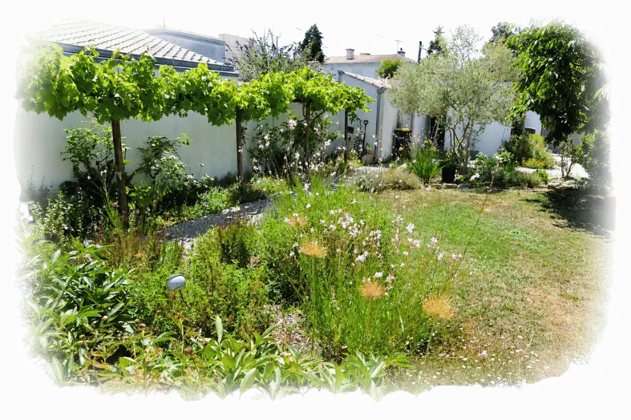 Jardin arboré des chambres d’hôtes à La Rochelle